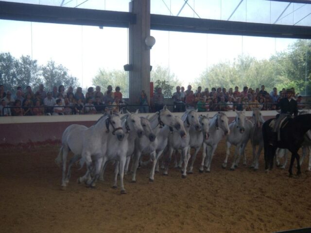 YEGUADA 02
