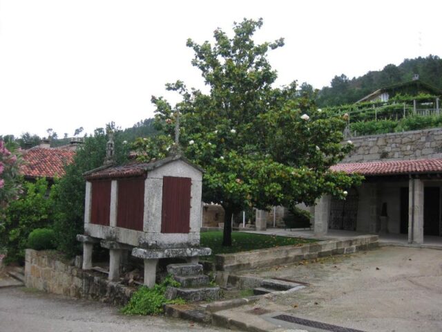 2009_GALLEGA_030