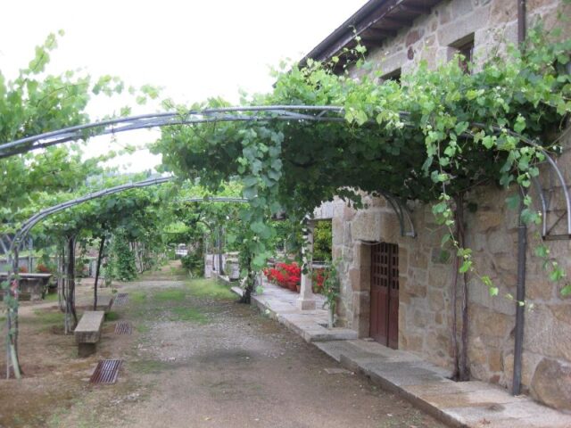 2009_GALLEGA_031